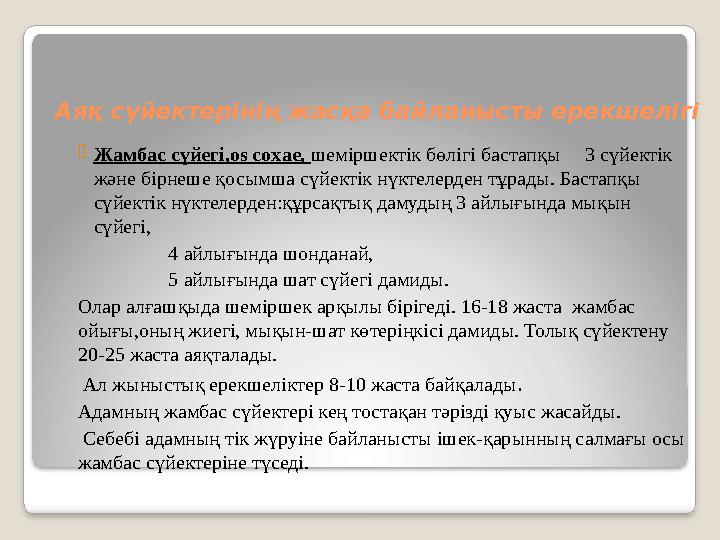 Аяқ сүйектерінің жасқа байланысты ерекшелігі Жамбас сүйегі,os coxae, шеміршектік бөлігі бастапқы 3 сүйектік және бірнеше