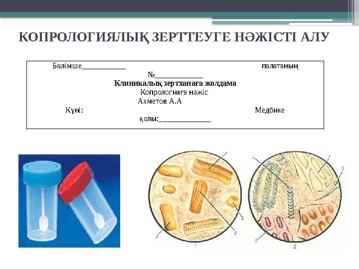 КОПРОЛОГИЯЛЫҚ ЗЕРТТЕУГЕ НӘЖІСТІ АЛУ Бөлімше___________