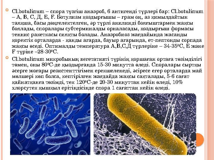  Cl.botulinum – спора түзгіш анаэроб, 6 антигенді түрлері бар: Cl.botulinum – А, В, С, Д, Е, F. Ботулизм қоздырғышы – грам