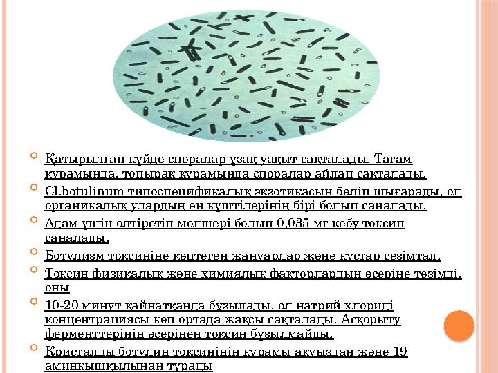  Қатырылған күйде споралар ұзақ уақыт сақталады. Тағам құрамында, топырақ құрамында споралар айлап сақталады.  Cl.botulin