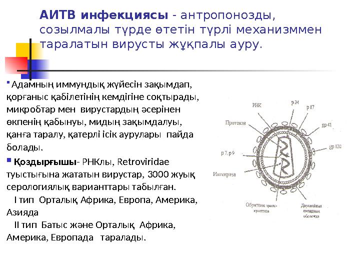 АИТВ инфекциясы - антропонозды, созылмалы түрде өтетін түрлі механизммен таралатын вирусты жұқпалы ауру.  Адамның иммундық