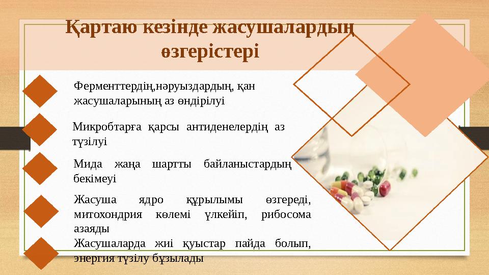 Ферменттердің,нәруыздардың, қан жасушаларының аз өндірілуі Микробтарға қарсы антиденелердің аз түзілуі Мида жаңа шартты байлан