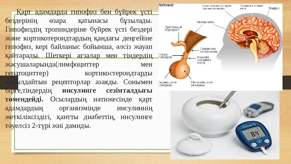Қарт адамдарда гипофиз бен бүйрек үсті бездерінің өзара қатынасы бұзылады. Гипофиздің тропиндеріне бүйрек үсті бездері және