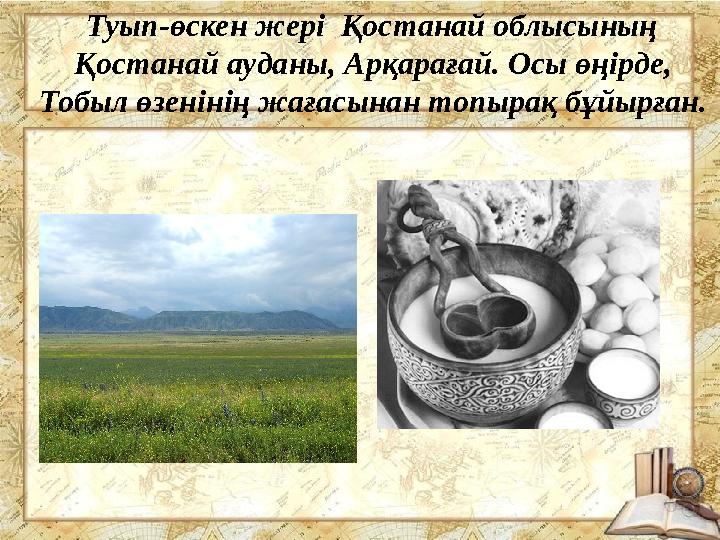 Туып-өскен жері Қостанай облысының Қостанай ауданы, Арқарағай. Осы өңірде, Тобыл өзенінің жағасынан топырақ бұйырған.