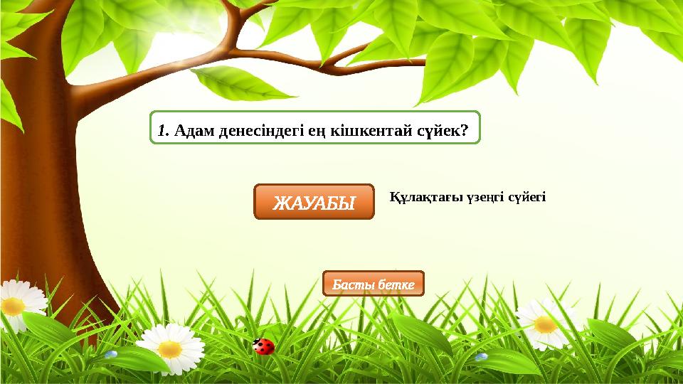 1. Адам денесіндегі ең кішкентай сүйек? ЖАУАБЫ Құлақтағы үзеңгі сүйегі Басты бетке