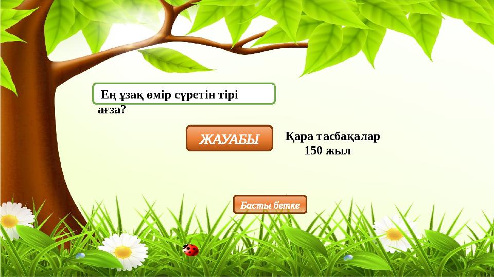 Ең ұзақ өмір сүретін тірі ағза? ЖАУАБЫ Қара тасбақалар 150 жыл Басты бетке