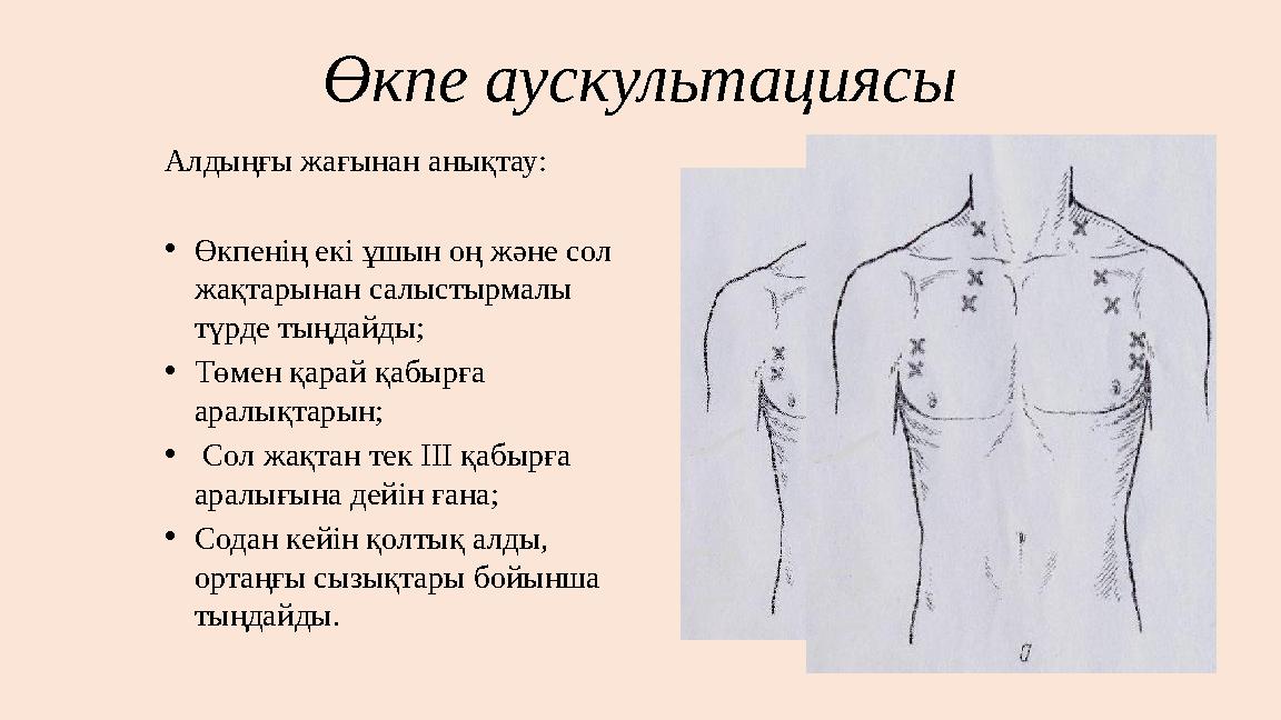 Өкпе аускультациясы Алдыңғы жағынан анықтау: •Өкпенің екі ұшын оң және сол жақтарынан салыстырмалы түрде тыңдайды; •Төмен қара