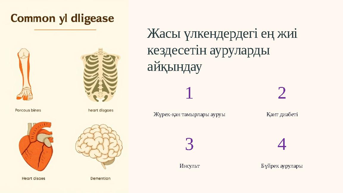Жасы үлкендердегі ең жиі кездесетін ауруларды айқындау 1 Жүрек-қан тамырлары ауруы 2 Қант диабеті 3 Инсульт 4 Бүйрек аурулары