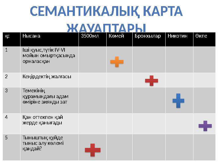 СЕМАНТИКАЛЫҚ КАРТА ЖАУАПТАРЫ қс Нысана 3500мл Көмей БронхыларНикотинӨкпе 1 Іші қуыс,түтік IV-VI мойын омыртқасында орналасқан