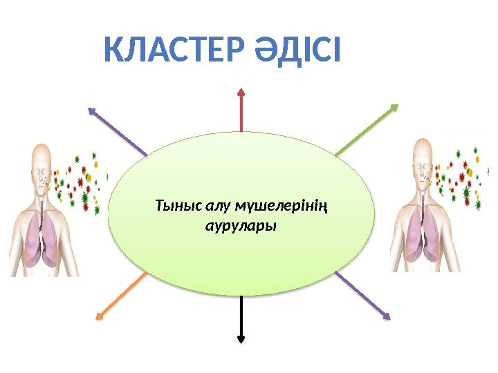 КЛАСТЕР ӘДІСІ Тыныс алу мүшелерінің аурулары