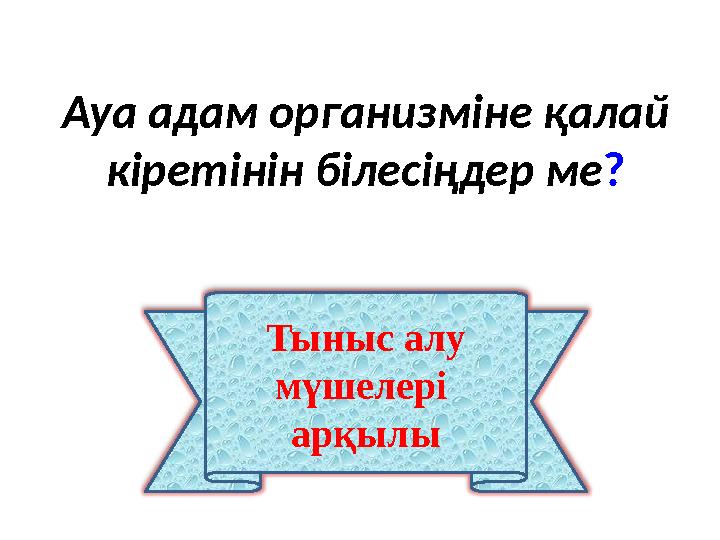 Тыныс алу мүшелері арқылы Ауа адам организміне қалай кіретінін білесіңдер ме?