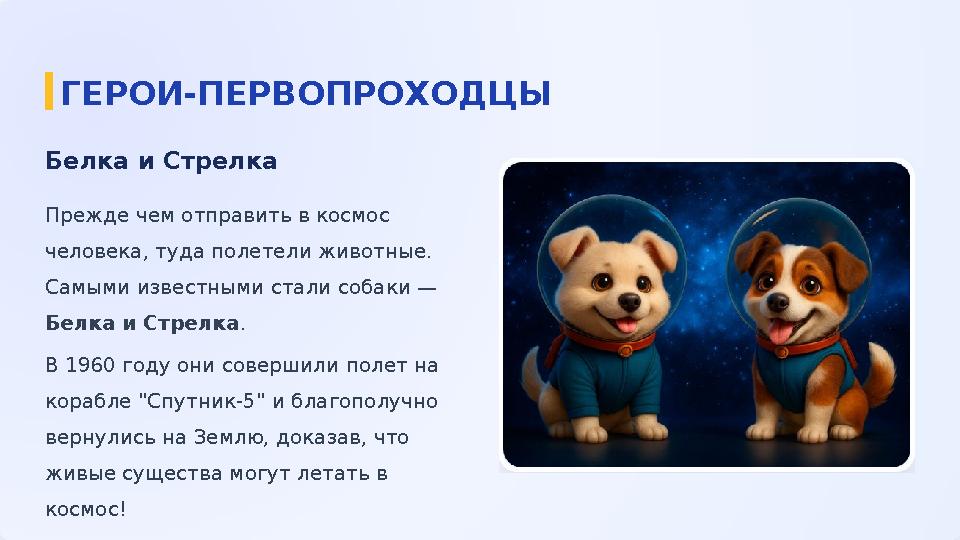 Белка и Стрелка Прежде чем отправить в космос человека, туда полетели животные. Самыми известными стали собаки — Белка и Стре