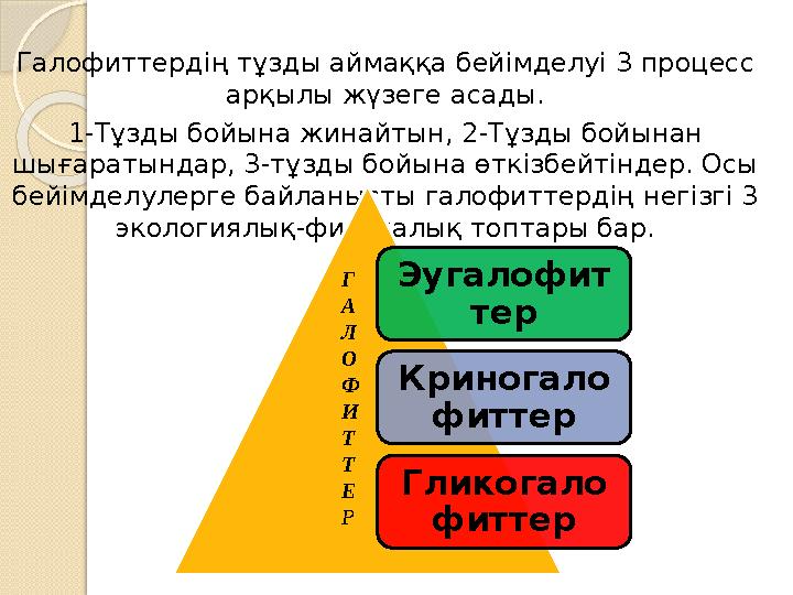 Галофиттердің тұзды аймаққа бейімделуі 3 процесс арқылы жүзеге асады. 1-Тұзды бойына жинайтын, 2-Тұзды бойынан шығаратындар, 3