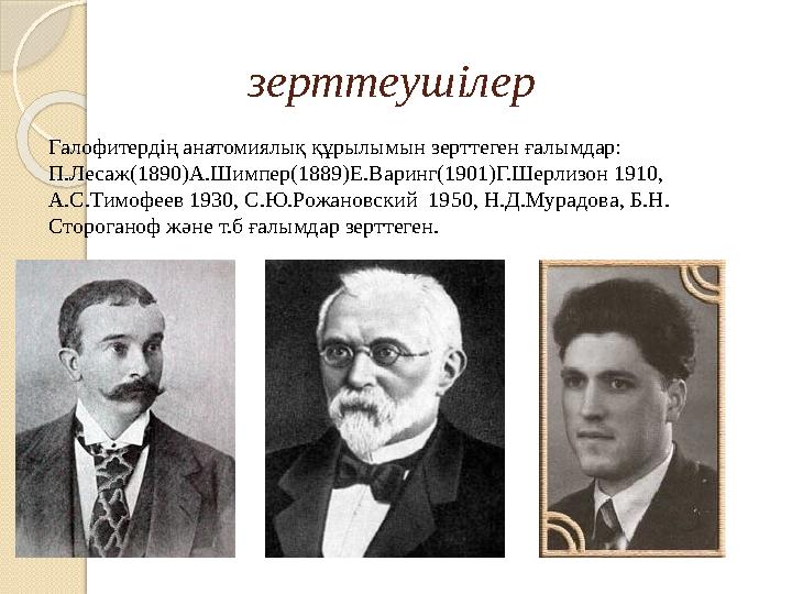 зерттеушілер Галофитердің анатомиялық құрылымын зерттеген ғалымдар: П.Лесаж(1890)А.Шимпер(1889)Е.Варинг(1901)Г.Шерлизон 1910,