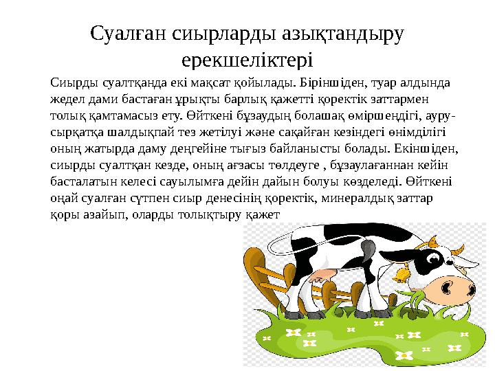 Суалған сиырларды азықтандыру ерекшеліктері Сиырды суалтқанда екі мақсат қойылады. Біріншіден, туар алдында жедел дами бастаға