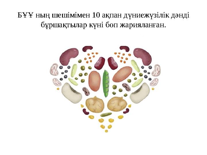 БҰҰ ның шешімімен 10 ақпан дүниежүзілік дәнді бұршақтылар күні боп жарияланған.