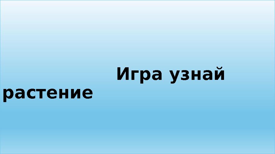 Игра узнай растение