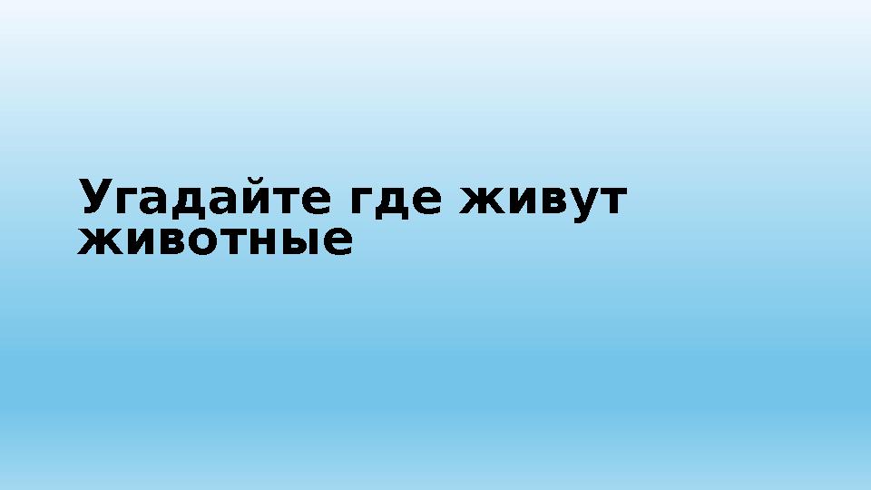 Угадайте где живут животные