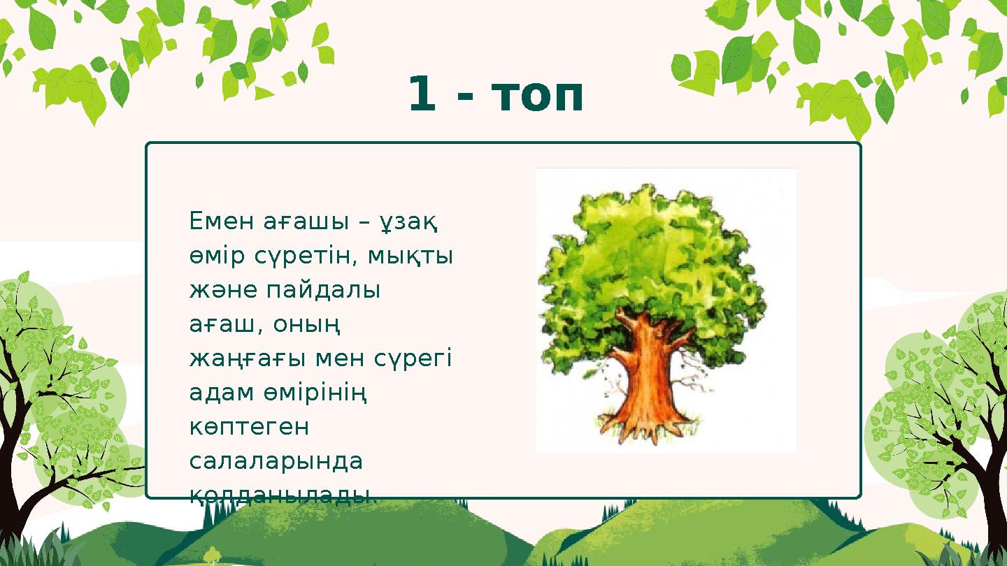 Емен ағашы – ұзақ өмір сүретін, мықты және пайдалы ағаш, оның жаңғағы мен сүрегі адам өмірінің көптеген салаларында қолд