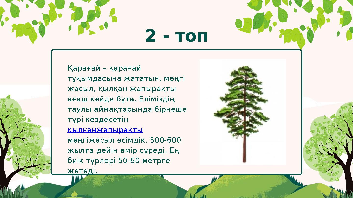 Қарағай – қарағай тұқымдасына жататын, мәңгі жасыл, қылқан жапырақты ағаш кейде бұта. Еліміздің таулы аймақтарында бірнеше