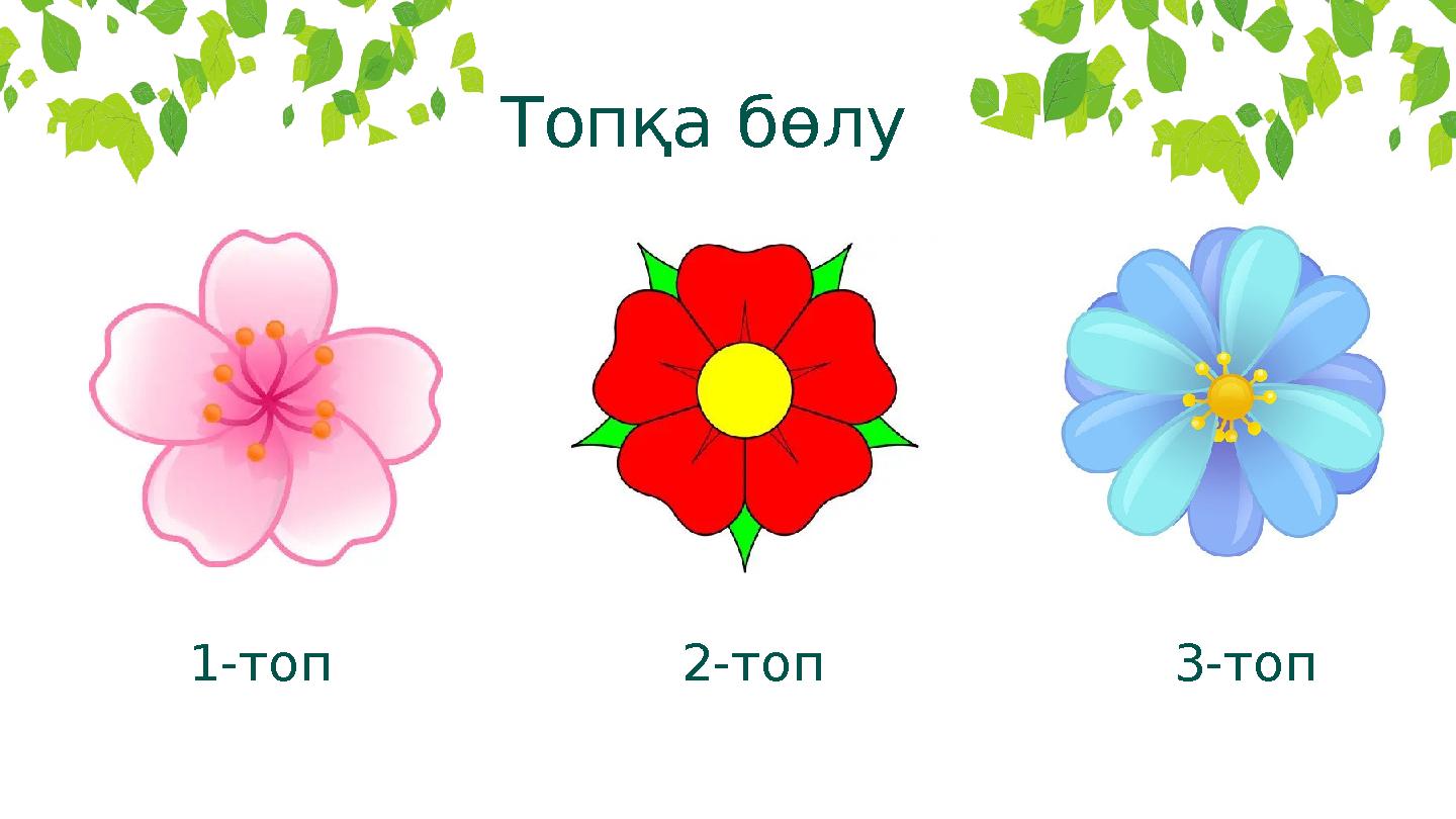 Топқа бөлу 1-топ 2-топ 3-топ