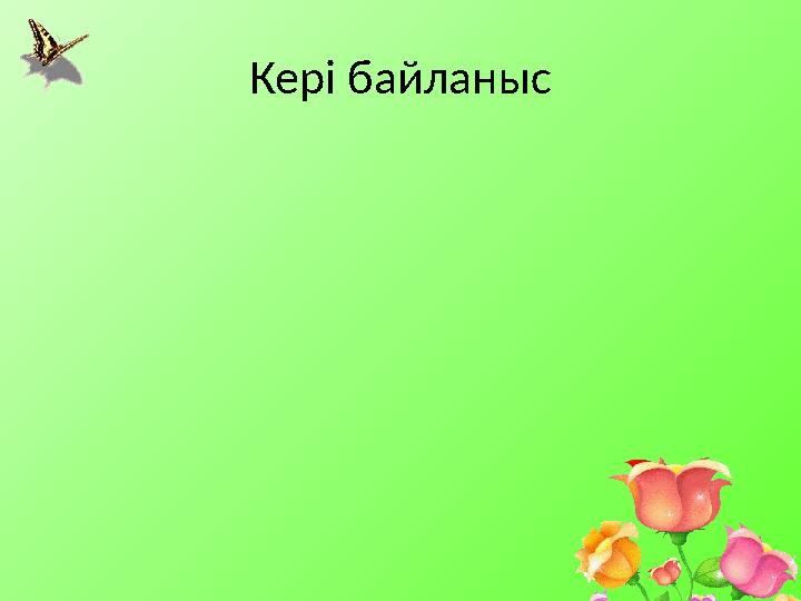 Кері байланыс