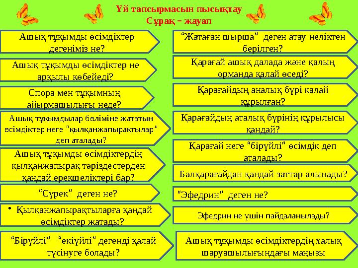 Үй тапсырмасын пысықтау Сұрақ – жауап Ашық тұқымды өсімдіктер дегеніміз не? Ашық тұқымды өсімдіктердің халық шаруашылығындағы