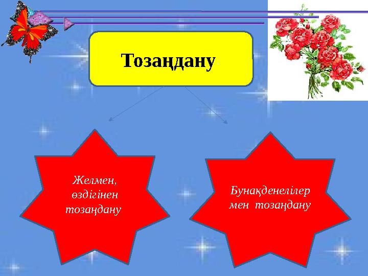Тозаңдану- Желмен, өздігінен тозаңдану Бунақденелілер мен тозаңдану