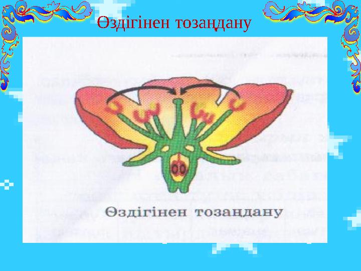 Өздігінен тозаңдану