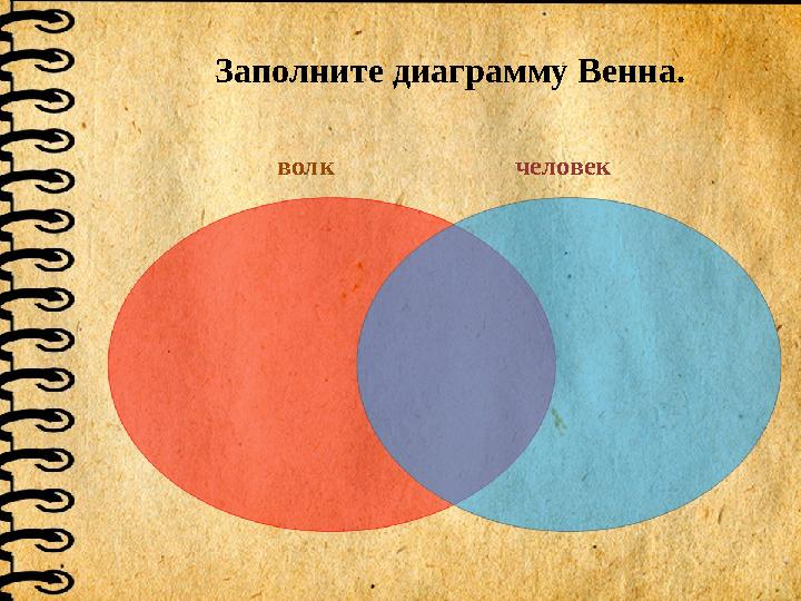 Заполните диаграмму Венна. волк человек