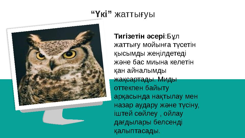“Үкі” жаттығуы Тигізетін әсері:Бұл жаттығу мойынға түсетін қысымды жеңілдетеді және бас миына келетін қан айналымды жақсар
