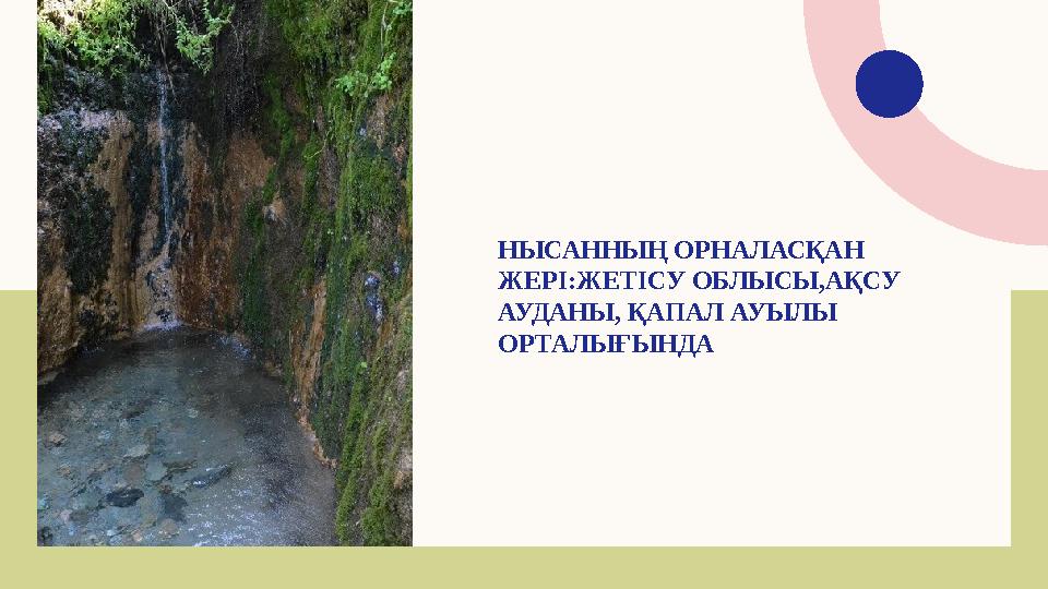 НЫСАННЫҢ ОРНАЛАСҚАН ЖЕРІ:ЖЕТІСУ ОБЛЫСЫ,АҚСУ АУДАНЫ, ҚАПАЛ АУЫЛЫ ОРТАЛЫҒЫНДА