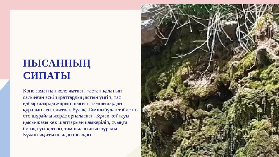 НЫСАННЫҢ СИПАТЫ Көне заманнан келе жатқан, тастан қаланып салынған ескі зираттардың астын үңгіп, тас қабырғаларды жарып шығып