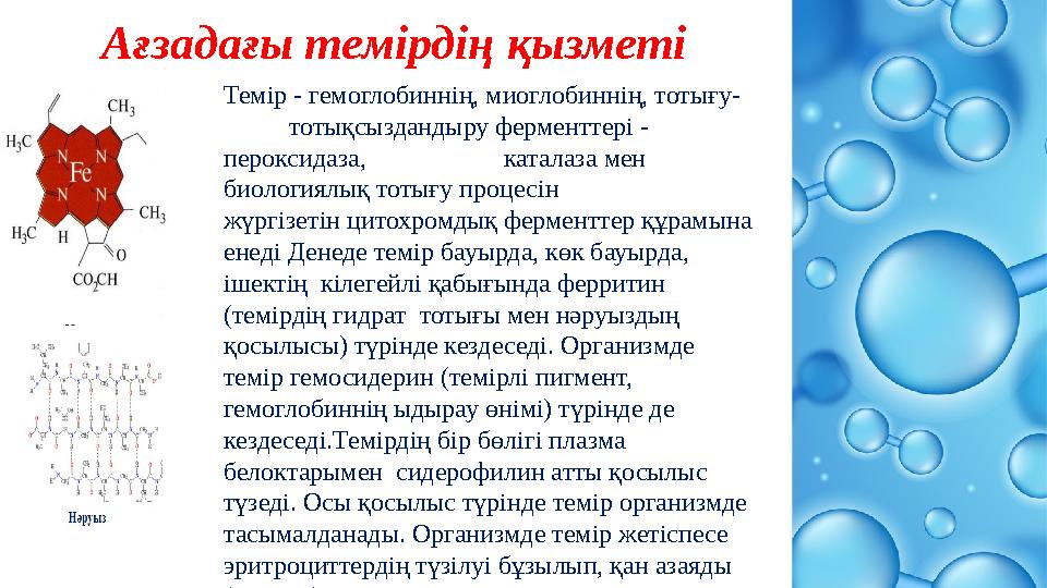 Ағзадағы темірдің қызметі Темір - гемоглобиннің, миоглобиннің, тотығу- тотықсыздандыру ферменттері - пероксидаза,