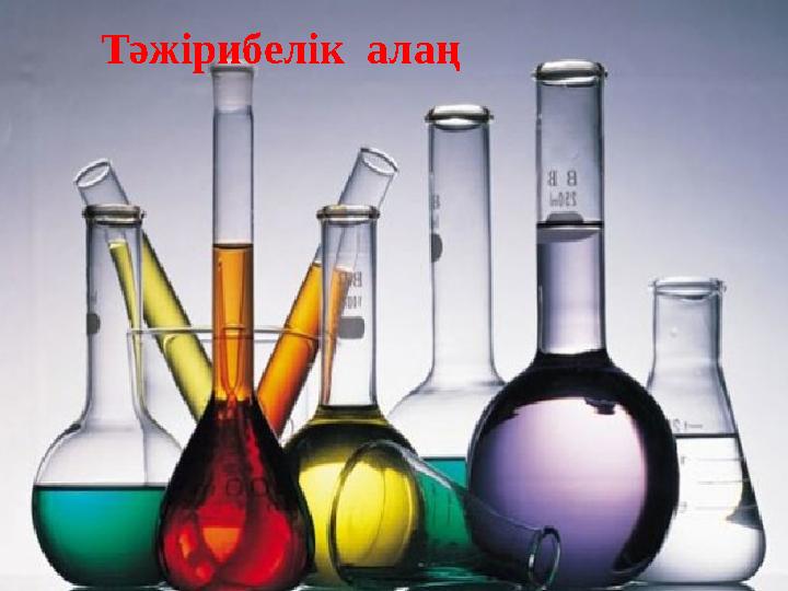 Тәжірибелік алаң