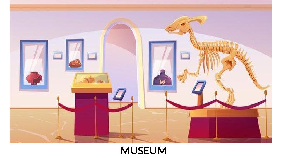 MUSEUM