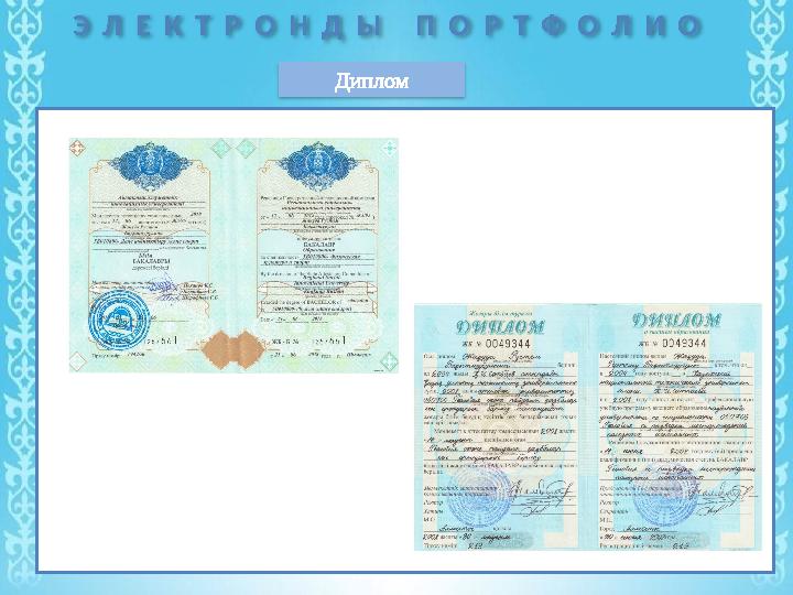 Э Л Е К Т Р О Н Д Ы П О Р Т Ф О Л И О Диплом