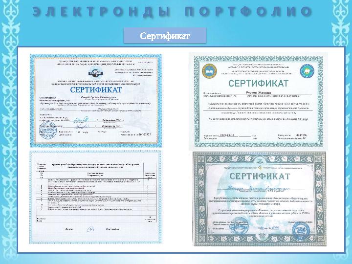 Э Л Е К Т Р О Н Д Ы П О Р Т Ф О Л И О Сертификат