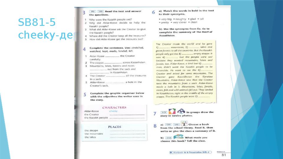 SB81-5 cheeky-дерзкий