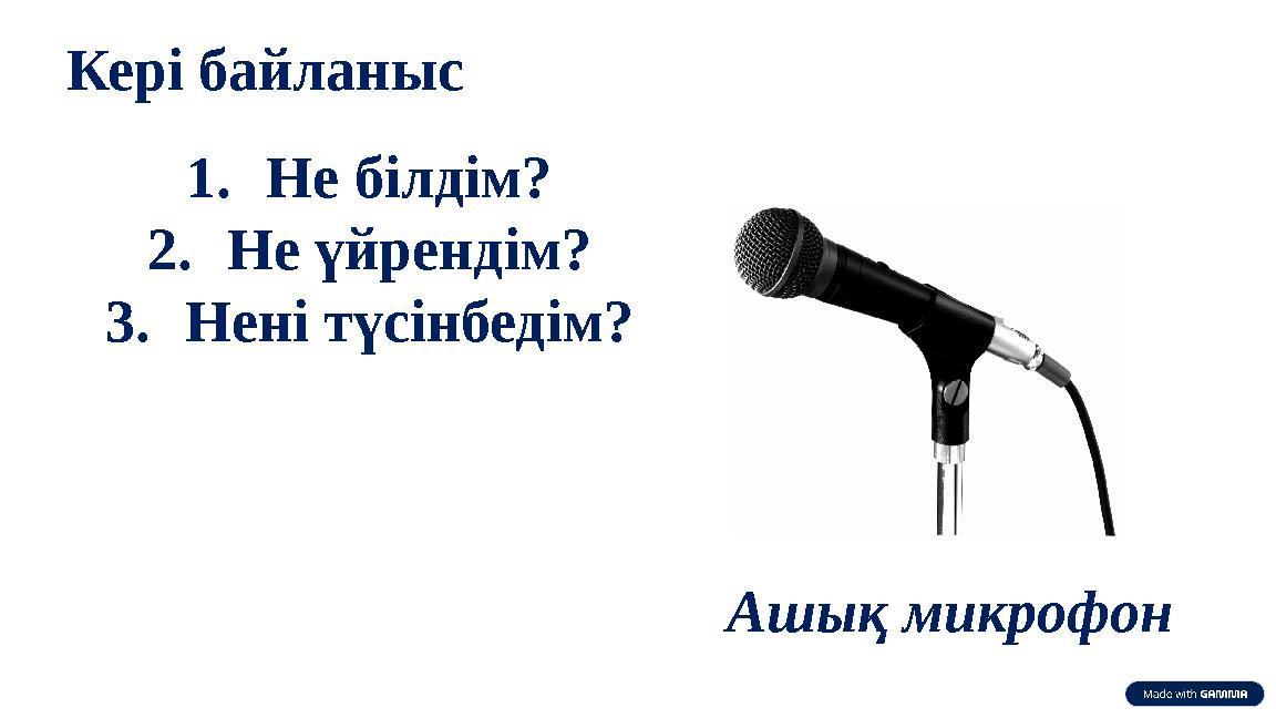 Кері байланыс 1.Не білдім? 2.Не үйрендім? 3.Нені түсінбедім? Ашық микрофон
