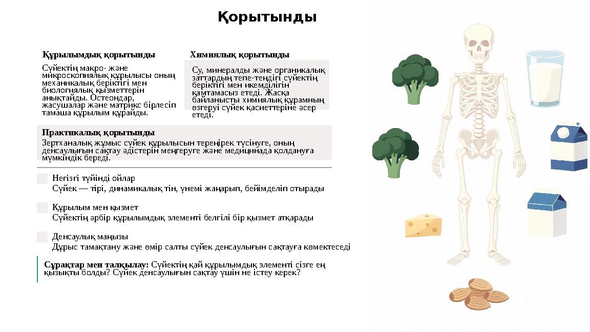 Қорытынды Құрылымдық қорытынды Сүйектің макро- және микроскопиялық құрылысы оның механикалық беріктігі мен биологиялық қызмет