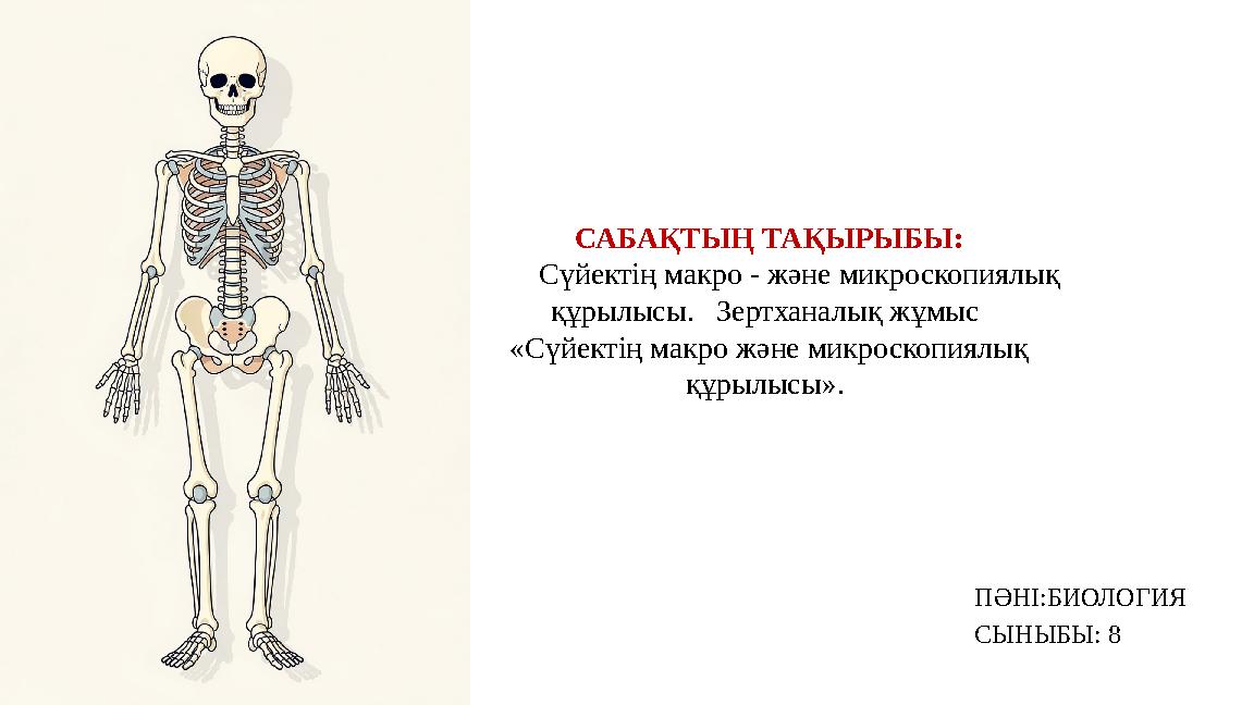 САБАҚТЫҢ ТАҚЫРЫБЫ: Сүйектің макро - және микроскопиялық құрылысы. Зертханалық жұмыс «Сүйектің макро және микроскопиял
