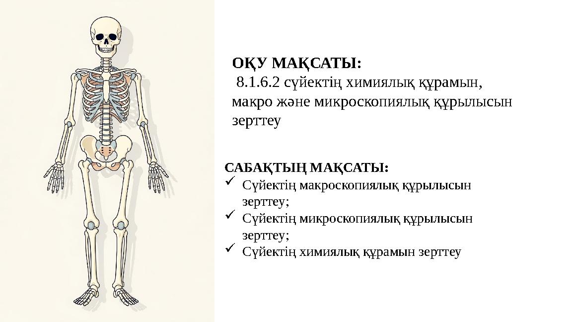 ОҚУ МАҚСАТЫ: 8.1.6.2 сүйектің химиялық құрамын, макро және микроскопиялық құрылысын зерттеу САБАҚТЫҢ МАҚСАТЫ: Сүйектің м