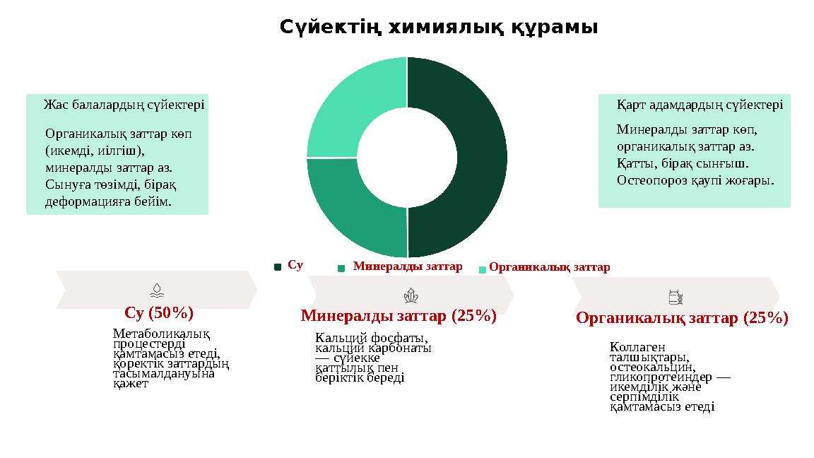 Сүйектің химиялық құрамы Су Минералды заттар Органикалық заттар Су (50%) Метаболикалық процестерді қамтамасыз етеді, қоректік