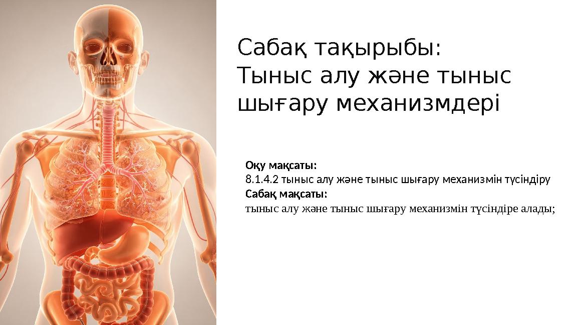 Сабақ тақырыбы: Тыныс алу және тыныс шығару механизмдері Оқу мақсаты: 8.1.4.2 тыныс алу және тыныс шығару механизмін түсіндіру