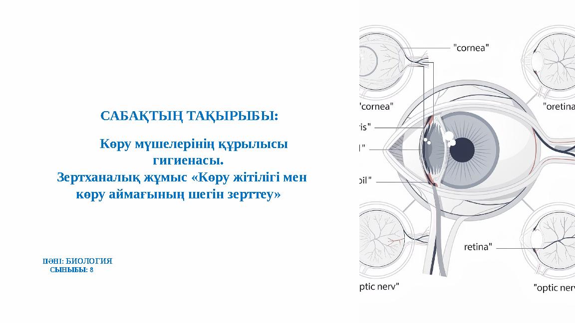 САБАҚТЫҢ ТАҚЫРЫБЫ: ПӘНІ: БИОЛОГИЯ СЫНЫБЫ: 8 Көру мүшелерінің құрылысы гигиенасы. Зертханалық жұмыс «Көру жітілігі мен