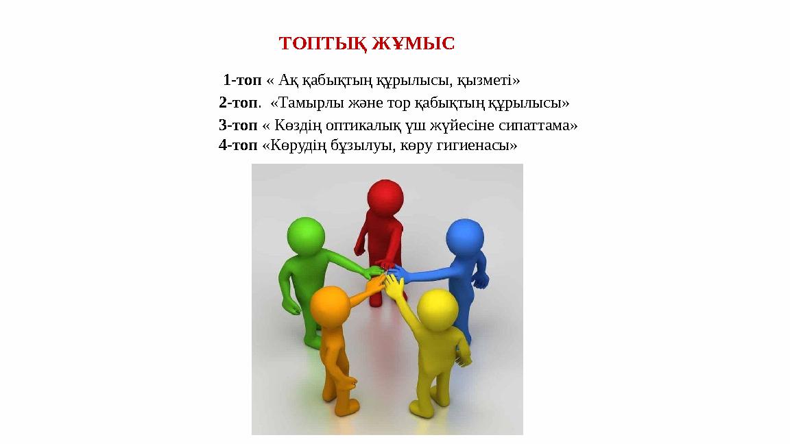 ТОПТЫҚ ЖҰМЫС 1-топ « Ақ қабықтың құрылысы, қызметі» 2-топ. «Тамырлы және тор қабықтың құрылысы» 3-топ « Көздің оптикалық үш ж