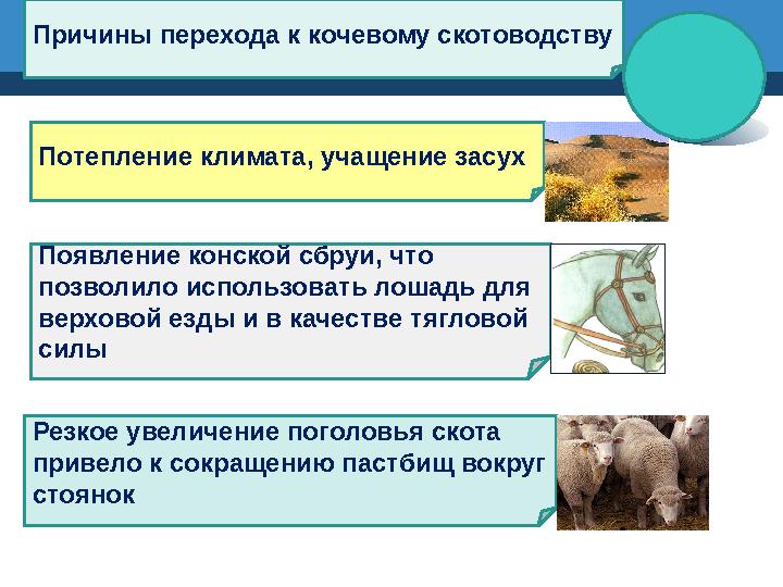 Причины перехода к кочевому скотоводству Потепление климата, учащение засух Появление конской сбруи, что позволило использовать