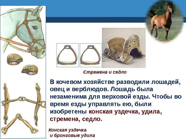 В кочевом хозяйстве разводили лошадей, овец и верблюдов. Лошадь была незаменима для верховой езды. Чтобы во время езды управл