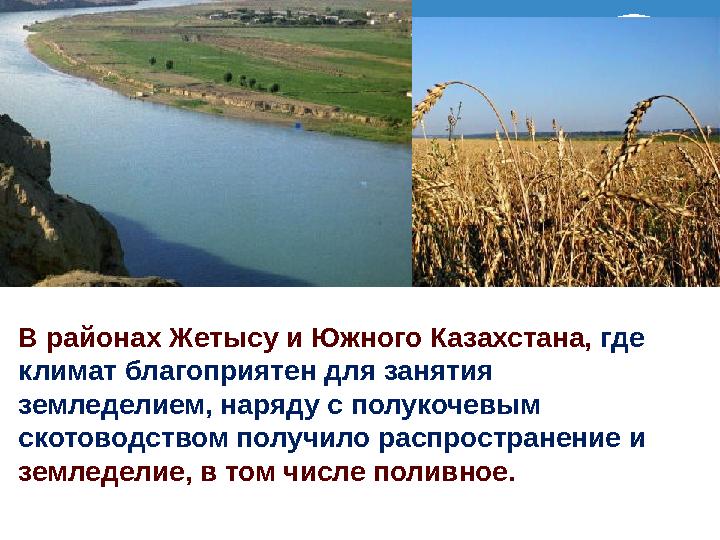 В районах Жетысу и Южного Казахстана, где климат благоприятен для занятия земледелием, наряду с полукочевым скотоводством пол